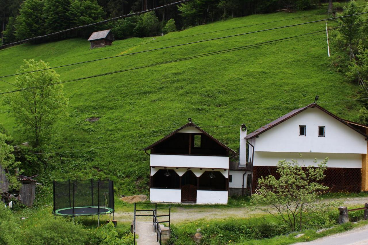 Casuta De Langa Padure Hotel Felsőmoécs Kültér fotó