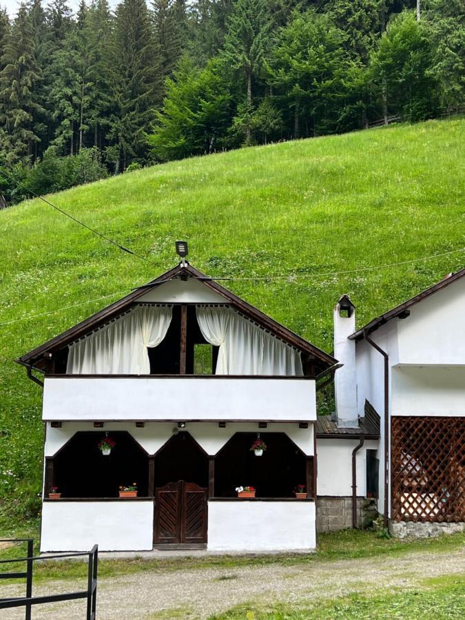 Casuta De Langa Padure Hotel Felsőmoécs Kültér fotó