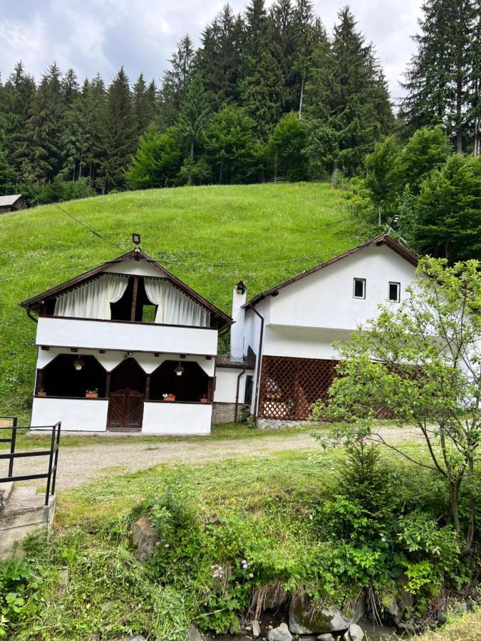 Casuta De Langa Padure Hotel Felsőmoécs Kültér fotó