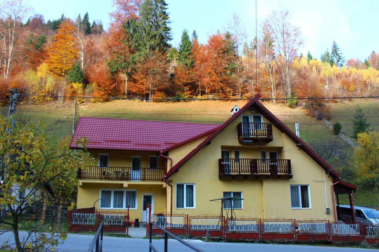 Casuta De Langa Padure Hotel Felsőmoécs Kültér fotó