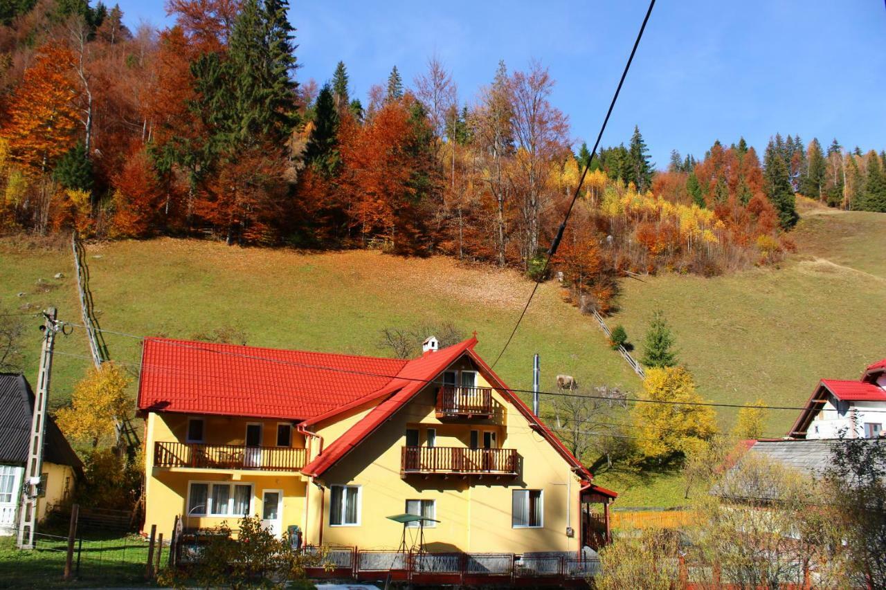 Casuta De Langa Padure Hotel Felsőmoécs Kültér fotó